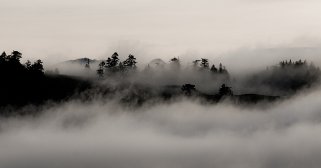 Fog over the area